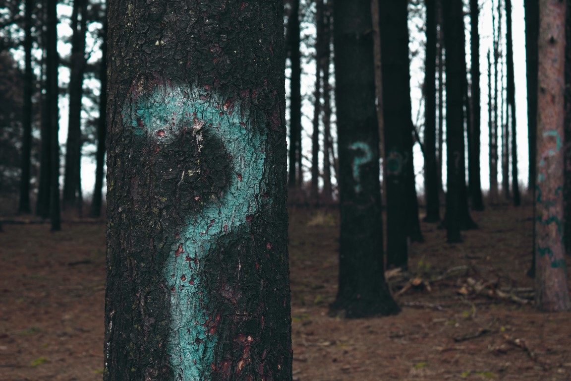 question marks trees